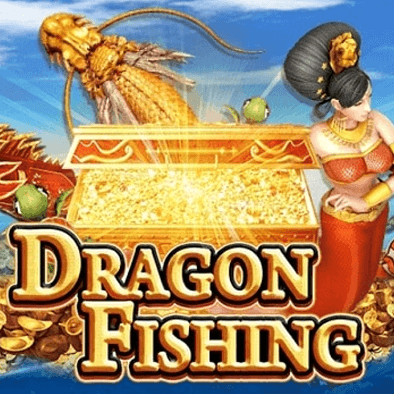 Câu Cá Rồng open8